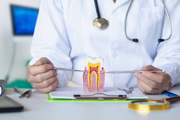 Best Emergency Tooth Extraction  in Winslow, AZ